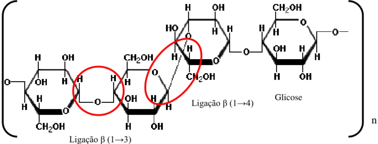 Figura 2.3- Ilustração de uma fração da estrutura de β-glucano com ligações β  -1,3 e uma ligação β  -1,4  entre  os  monómeros  de  glicose  que  o  compõem