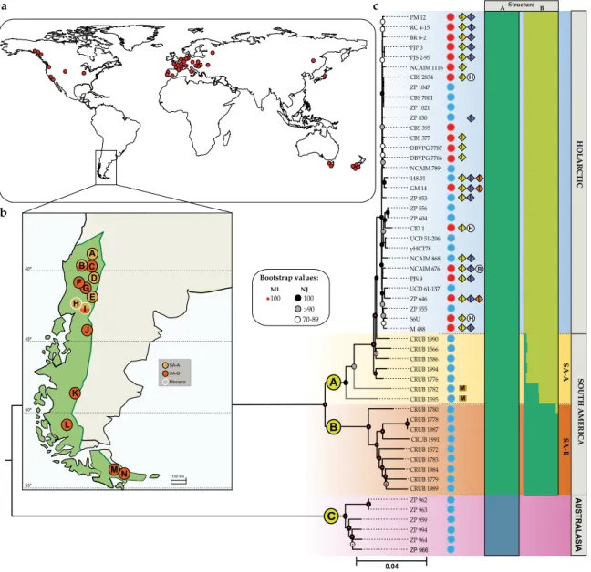 Figure 2.1 | Geographic distribution, phylogeny and population structure of Saccharomyces uvarum