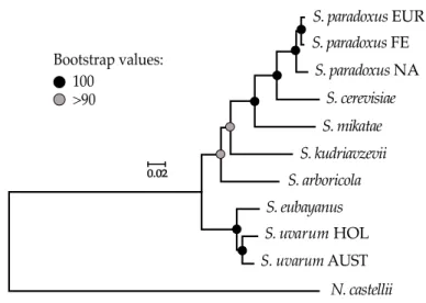 Figure  2.2  |  Phylogenetic  relationships  between  species  and  populations  of  Saccharomyces