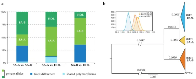 Figure 2.4 | Proportion of shared and privately segregating polymorphisms and coalescence analysis  in the South American and Holarctic (HOL) populations