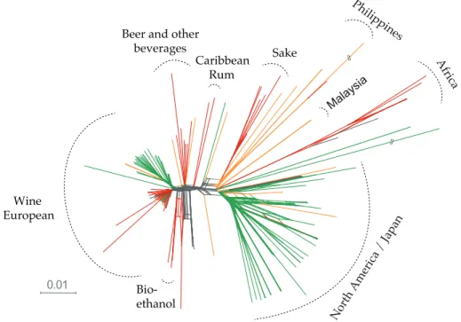 Figure  3.1  |  The  global  diversity  of  Saccharomyces  cerevisiae  is  shaped  by  both  ecology  and  geography