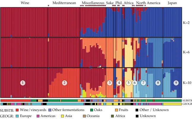 Figure 3.2 | Population structure and admixture in S. cerevisiae.  STRUCTURE plots based on a subset of  9181 parsimony informative sites for K = 2, 6 and 10