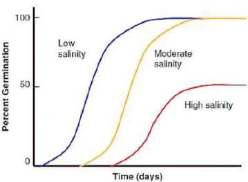 Table 1.1 - The effects of salinity stress on plants. 