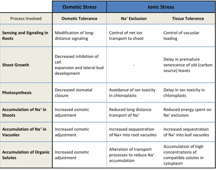 Table 1.2 - Mechanisms of salinity tolerance. 