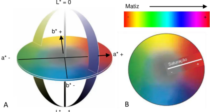 Figura 1.5: Escalas de cor usadas na indústria alimentar. A – Sistema Hunter L*a*b* ou CIELab