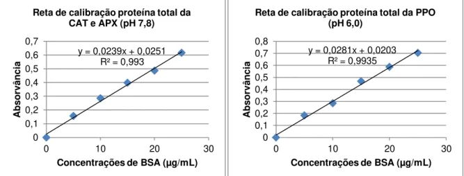 Figura 2.10: Reta de calibração da BSA para determinação dos valores de proteína total