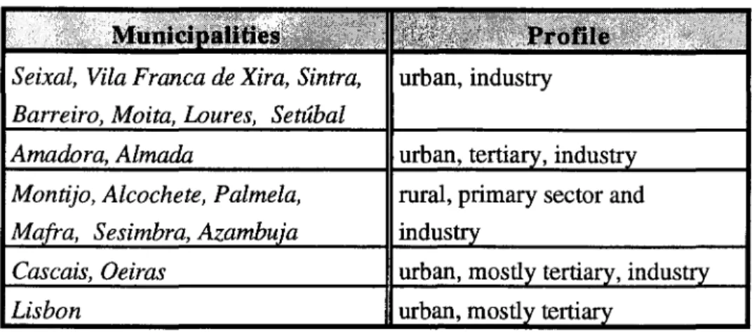 Table N. 1  -  AML municipalities socio-economic profiles 