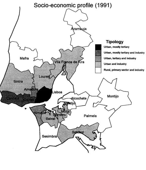 Figure  IV.5  -  AML  municipalities socio-economic profile 