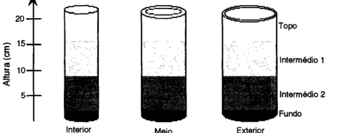 Figura 4.3- Representação do substrato em compostagem- fraccionamento do substrato para recolha de amostras para a determinação de humidade e análises