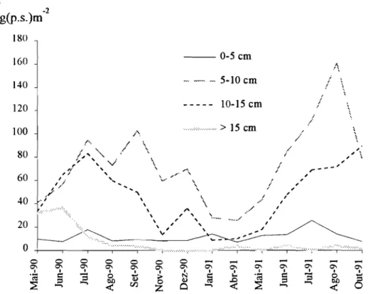 Fig. 6.03 - Variação da densidade de biomassa das quatro classes consideradas.