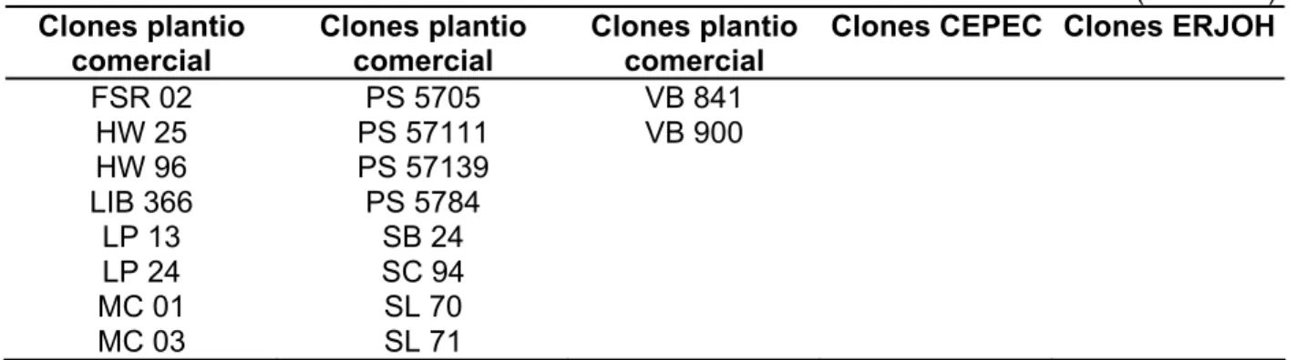 Tabela 3 - Relação dos 87 acessos utilizados nas análises de genealogia e similaridade genética de  clones de cacaueiro selecionados como resistentes a Crinipellis perniciosa 