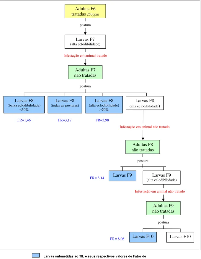 Figura 10 – Experimento sobre seleção de R. (B.) microplus, cepa Piquete, resistente à  ivermectina segundo a taxa de eclodibilidade das larvas