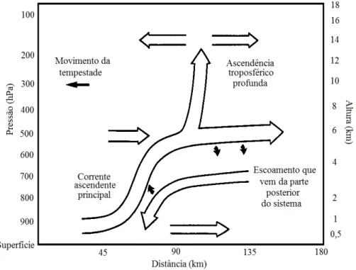 Figura 2 - Modelo conceitual da estrutura de escoamento para uma linha de  instabilidade costeira da região amazônica (adaptado de Garstang et al., 1994) 