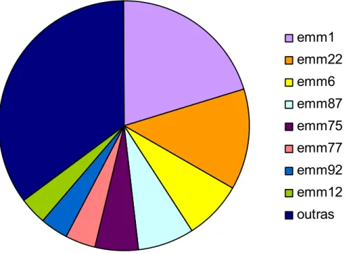 Figura 5. Freqüência das diversas cepas analisadas.   Os diferentes genotipos das  diferentes cepas isoladas distribuidas de acordo com sua frequencia