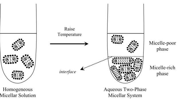Figure 3: Schematic illustration of a Triton X-114 micellar solution phase separation, upon temperature  increase