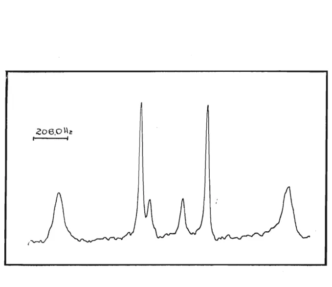 FIGURA IV.13 - Espectro típico de RMN de Deutério do indutor