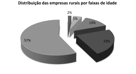 Gráfico 1: Distribuição das empresas rurais por faixas de idade.  