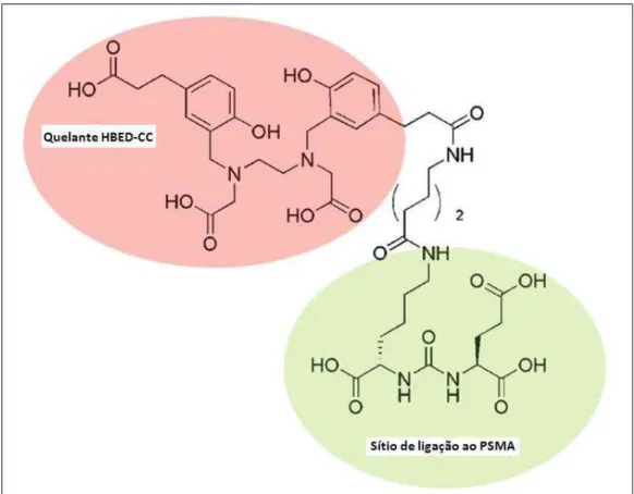 FIGURA  5:  PSMA  conjugado  ao  quelante  bifuncional  HBED-CC  conjugado  ao  peptídeo         Glu-NH-CO-NH-Lys (Eder et al,  2012)