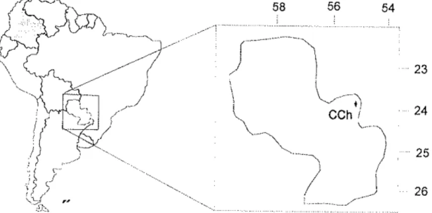 Figura  3  -  Localizaçäo  geográf¡ca  do comprexo  Arcarino  carbonatitico  de  chiriguero  (cch).