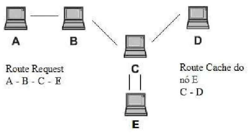 Figura 3.6 - Um caso específico de Route Reply 