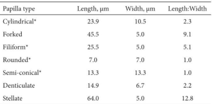 Table 1. Dimensions of cells with different types of papillae. The lengths and  widths are averages of 25 measurements made under scanning electron  micros-copy in the same region of a mature leaf