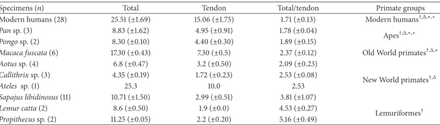 Table 1: Measures of the palmaris longus, palmaris longus tendon, and palmaris longus/tendon relationship for species of primates and primate groups.
