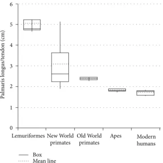Figure 2: Graph showing the mean line relative to the palmaris longus/tendon length of primate groups.