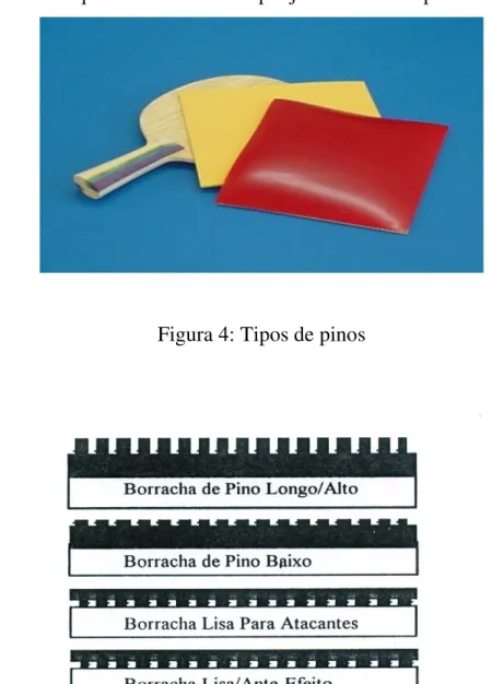 Figura 4: Tipos de pinos 