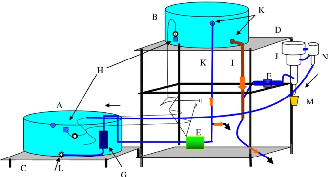 Figura C  –  Esquema geral do conjunto de experimentos 
