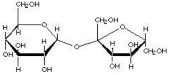 Figura 1.3 - Molécula de sacarose - dímero de glucose e frutose. 