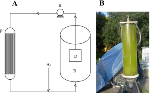 Figura 2.3 -  Esquema (A) e fotografia (B) do fotobiorreactor permanentemente iluminado