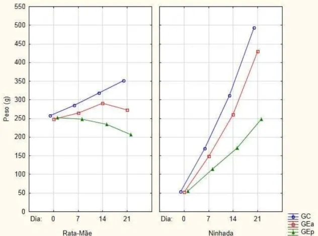 Figura  5:  Gráficos  do  acompanhamento  de  peso  da Rata-Mãe  (à  esquerda)  e  da  ninhada  (à  direita) do GC (--○-- ), do GEa (--□-- ) e do GEp (--▲-- )