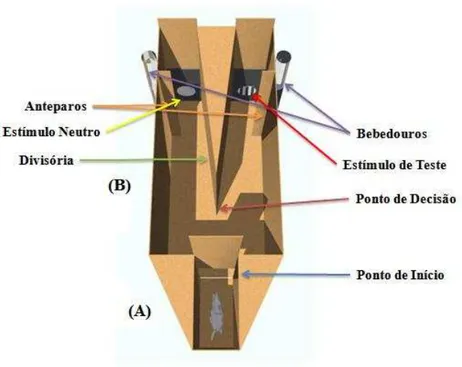 Figura 7: Diagrama esquemático do aparelho para aferir a capacidade  visual  de  animais  de  laboratório  em  condições  diversas