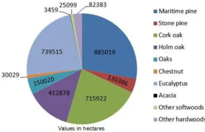 Figure 5. Portuguese forest composition in 2005-2006 [32]. 