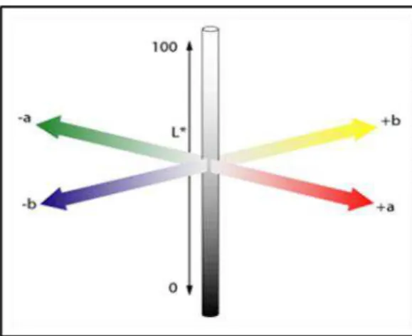 Figura 2.2 - Sistema de coordenadas CIELAB, onde: –a* = verde, +a* =  vermelho, -b* = azul, +b* = amarelo,  L* = 100 representa o máximo de claridade e L* = 0 representa a máxima escuridão (SpecialChem, 2012)