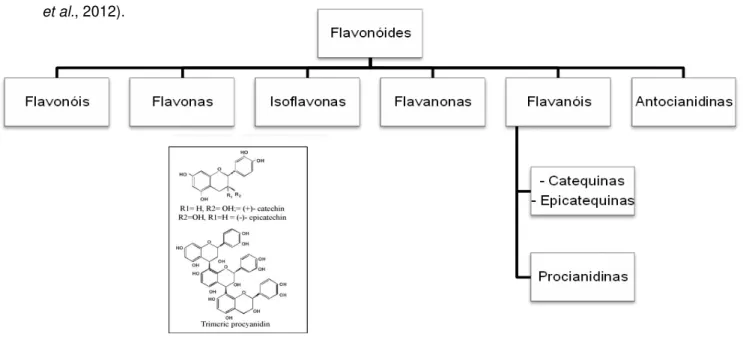 Figura 2.1 Diferentes subclases dos flavonóides ( adaptado de Fernández-Murga et al., 2011)