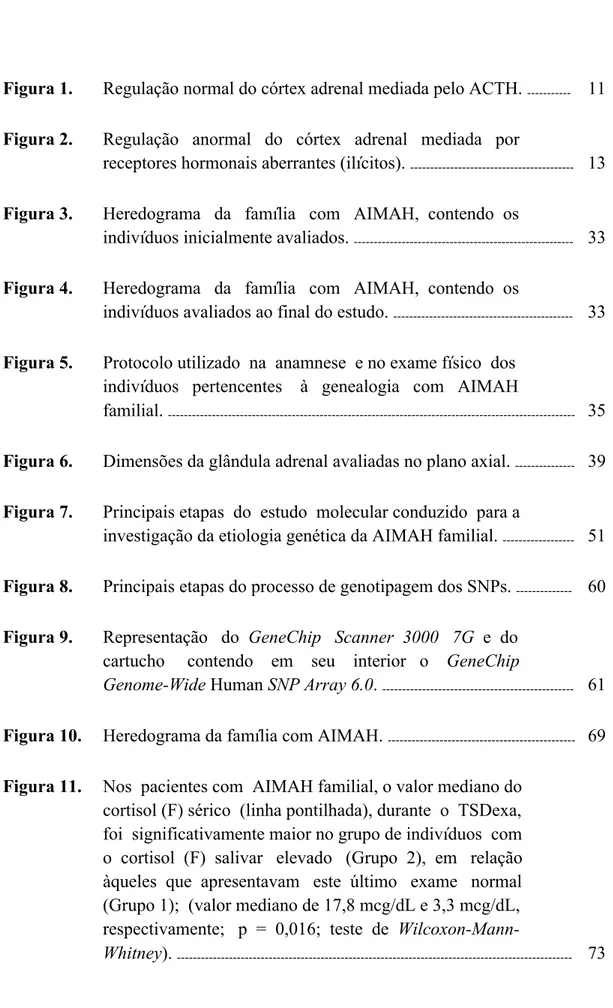 Figura 1.  Regulação normal do córtex adrenal mediada pelo ACTH.  -----------   11  Figura 2