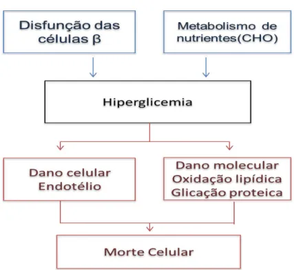 Figura  2:  Causa  e  efeito  do  estresse  na  DM1.  A  hiperglicemia  é  causada  pela  ausência  e/ou  diminuição  da  produção  e  da  secreção  de  insulina  decorrente  da  destruição  das  células    pancreática