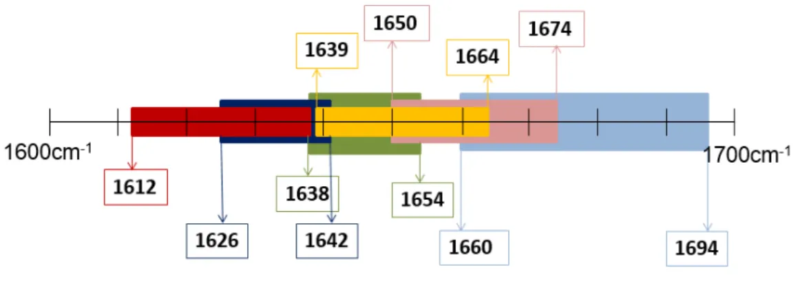 Figura  3.2. Espectro desconvoluído do soro comercial na  condição em que a amostra não foi sujeita a  nenhum tratamento (i), na janela 1700-1600 cm -1 