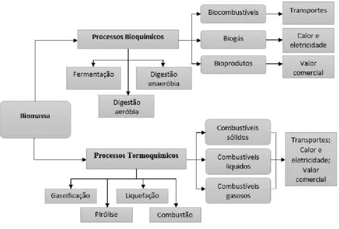 Figura 1.3 - Processos de conversão da biomassa, produtos e aplicações. 