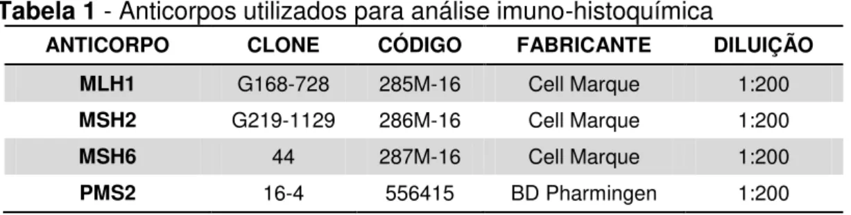 Tabela 1 - Anticorpos utilizados para análise imuno-histoquímica  