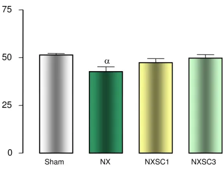 Figura 5. Gráfico do nível de hematócrito em animais Sham, NX, NXSC1 e NXSC3 no 60 o  dia de  pós-operatório
