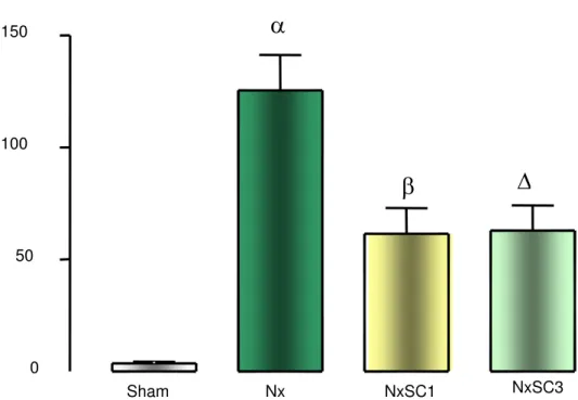 Figura 6. Gráfico do índice de esclerose glomerular em animais Sham, NX, NXSC1 e NXSC3 no 60 o dia de pós-operatório