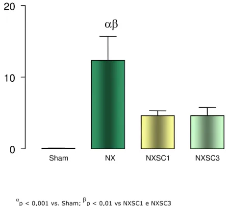 Figura 10: Gráfico da infiltração tecidual por macrófagos (ED1) em glomérulos (a) e em  compartimento túbulo-intersticial (b) em animais Sham, NX, NXSC1 e NXSC3 no 60 o  dia de  pós-operatório