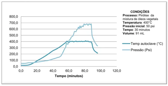 Figura 7.2 – Perfil exemplificativo da variação tipica da temperatura e pressão durante um ensaio de pirólise