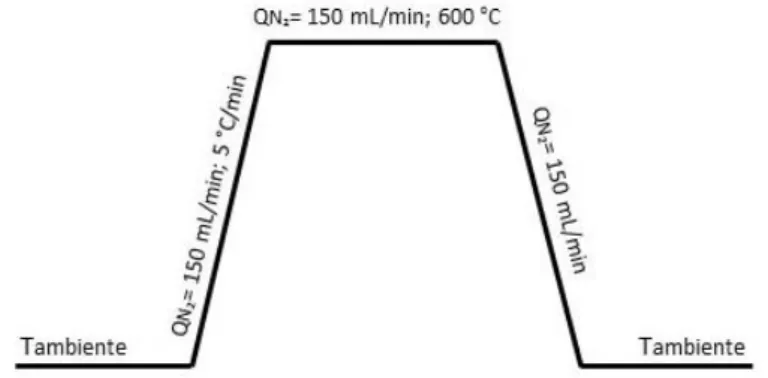 Figura 2.1 - Perfil de carbonização da biomassa de podas de vinha 