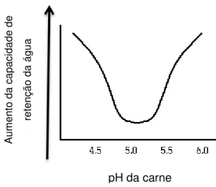 Figura 1.8 Relação do pH com a capacidade de retenção da água  VII . 