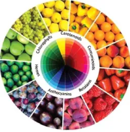 Figure 1.1. Natural pigments and their colours (Cavalcanti et al., 2013). 