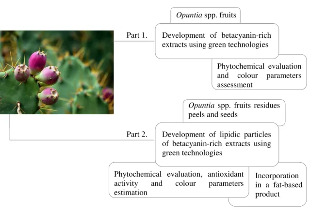 Figure 1.4. Structure of the thesis. 