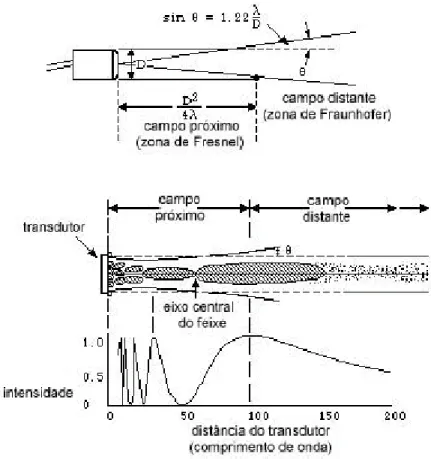 Figura 3  Ilustração esquemática da distribuição da intensidade do feixe emitido  pelo transdutor de ultra-som (Wells, 1977, p.439)  